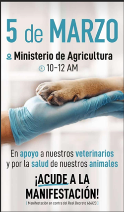 Manifestación 5 de marzo