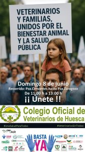 Manifestación huesca real decreto 666/23